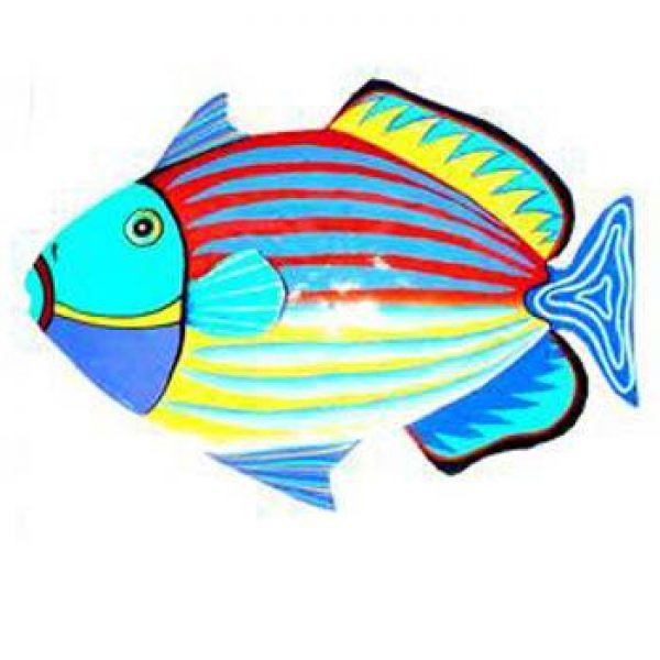 760-trigger-fish