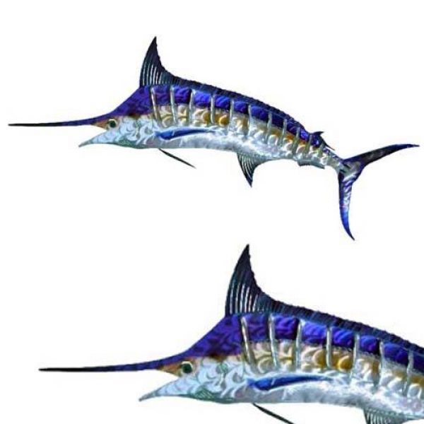 marlin