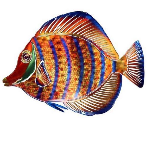 wa3dmangelfishstri500