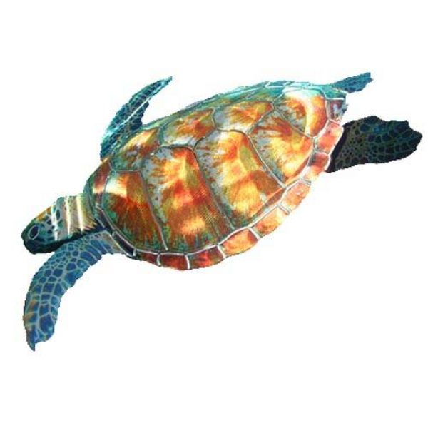 wa3dturtle500